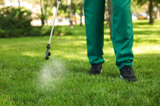 Best Pest Removal Services  in Whitesboro, AL
