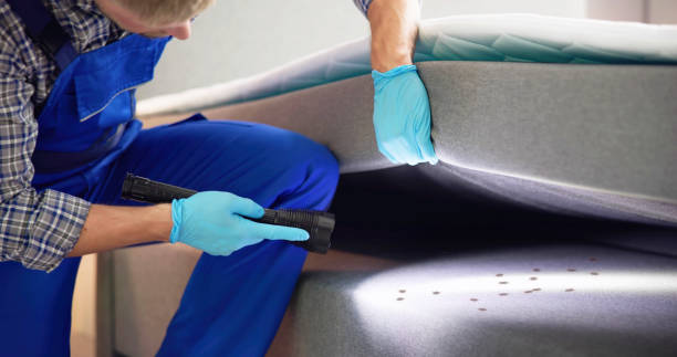 Best Pest Control for Restaurants  in Whitesboro, AL
